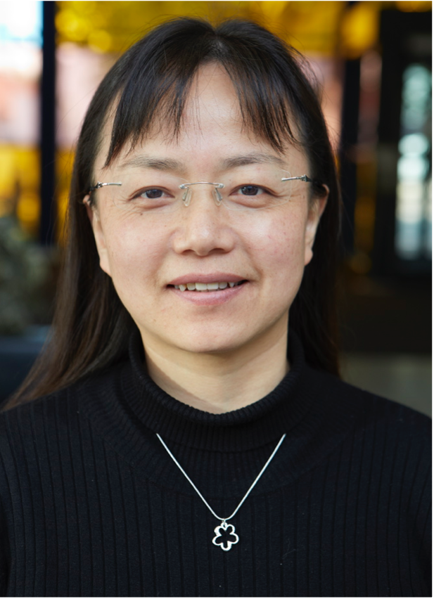 Professor Liangxiu Han